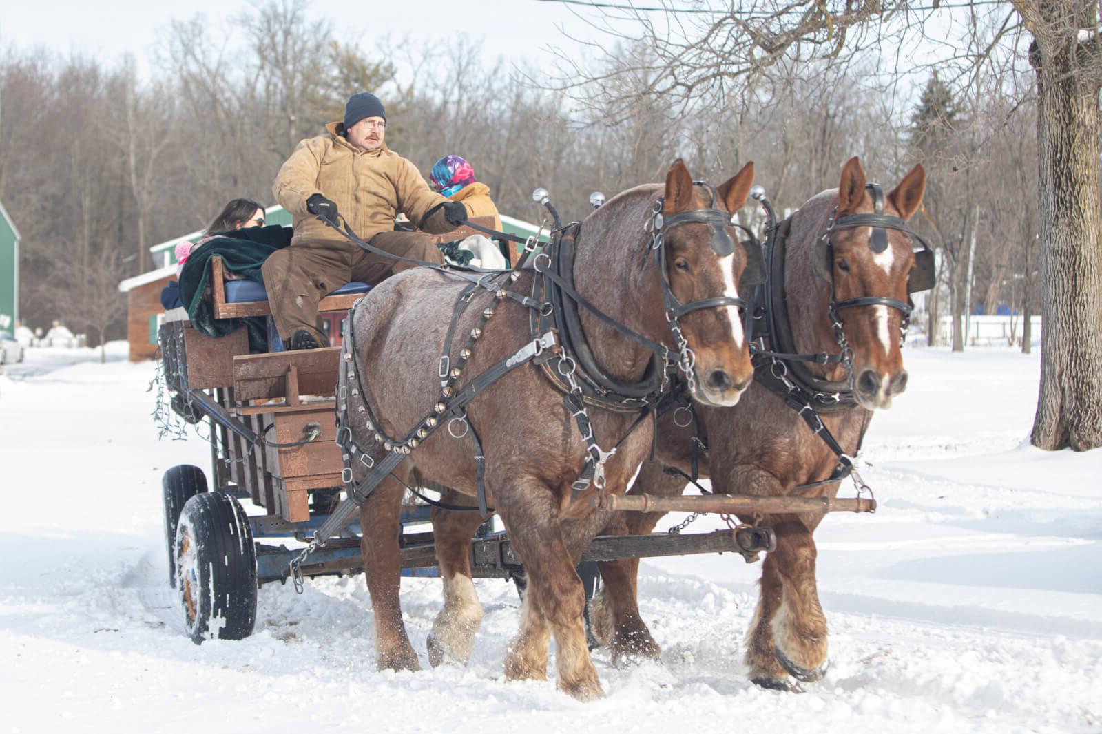 Holiday Event...horse drawn carriage in the snow